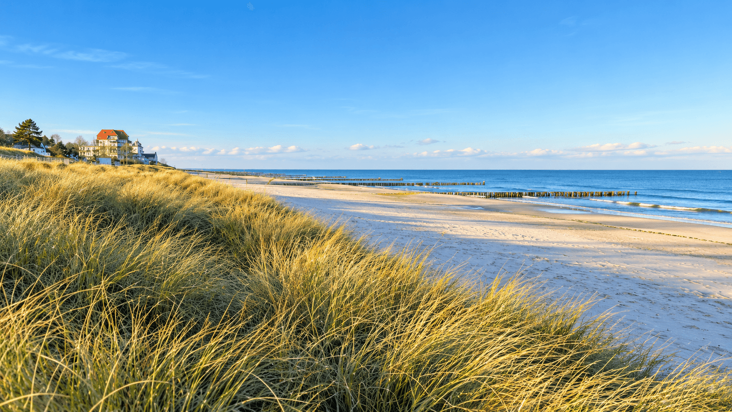Panoramischer Küstenblick an der Ostsee mit Dünengras