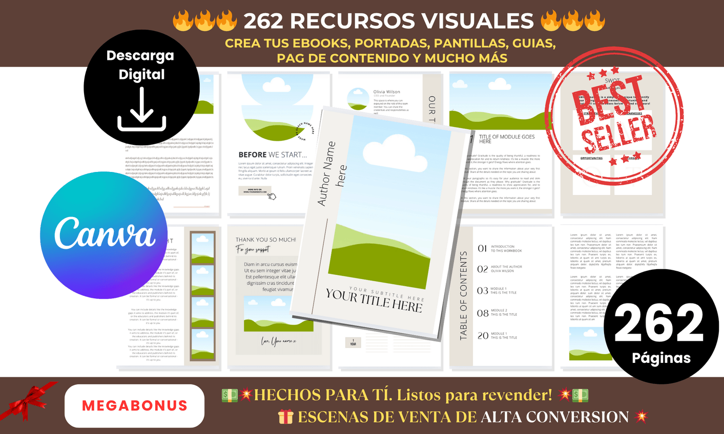 Recursos Visuales y de Contenido
