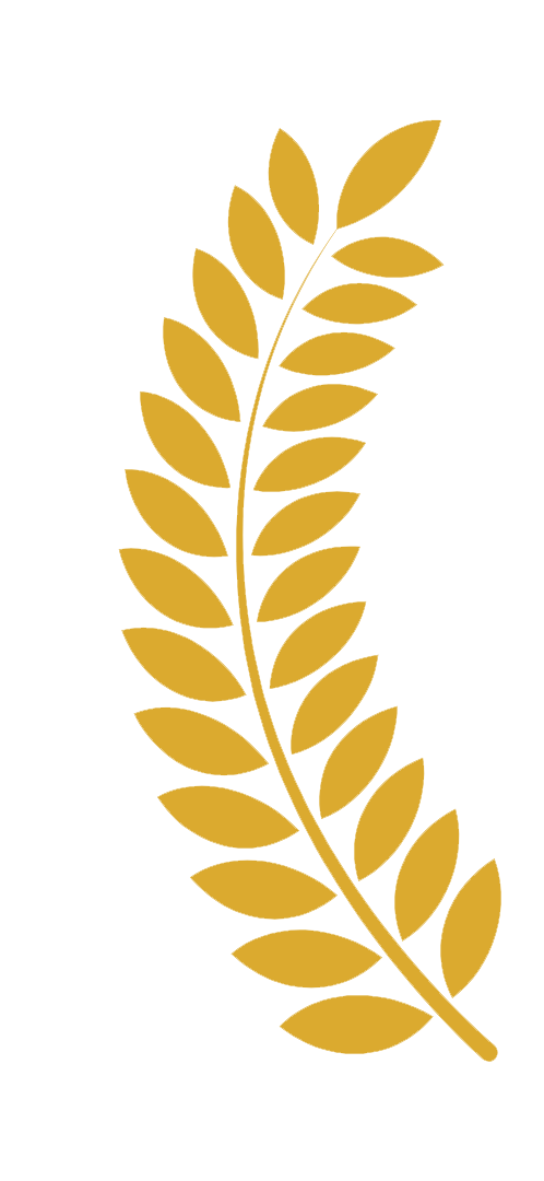 babérkoszorú bal