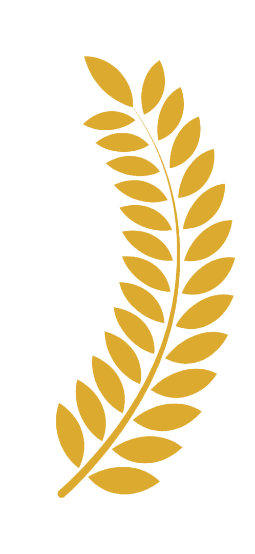 babérkoszorú jobb