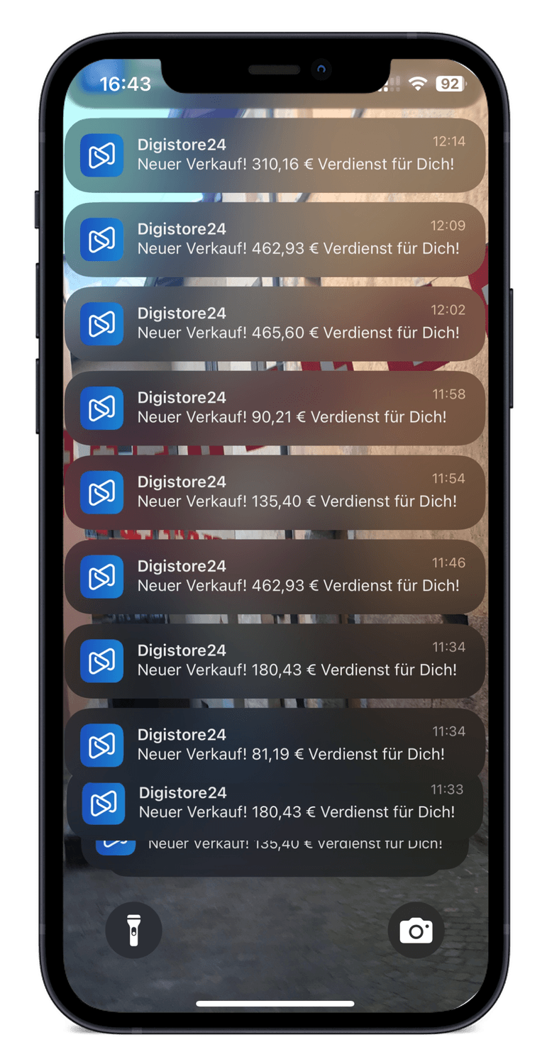 Digistore24 Einnahmen
