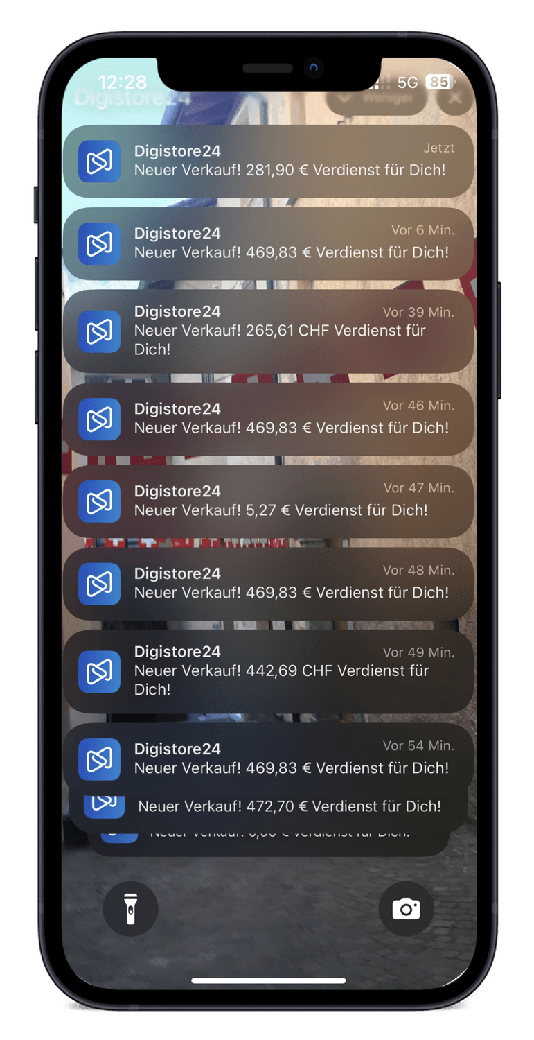 Digistore24 Einnahmen