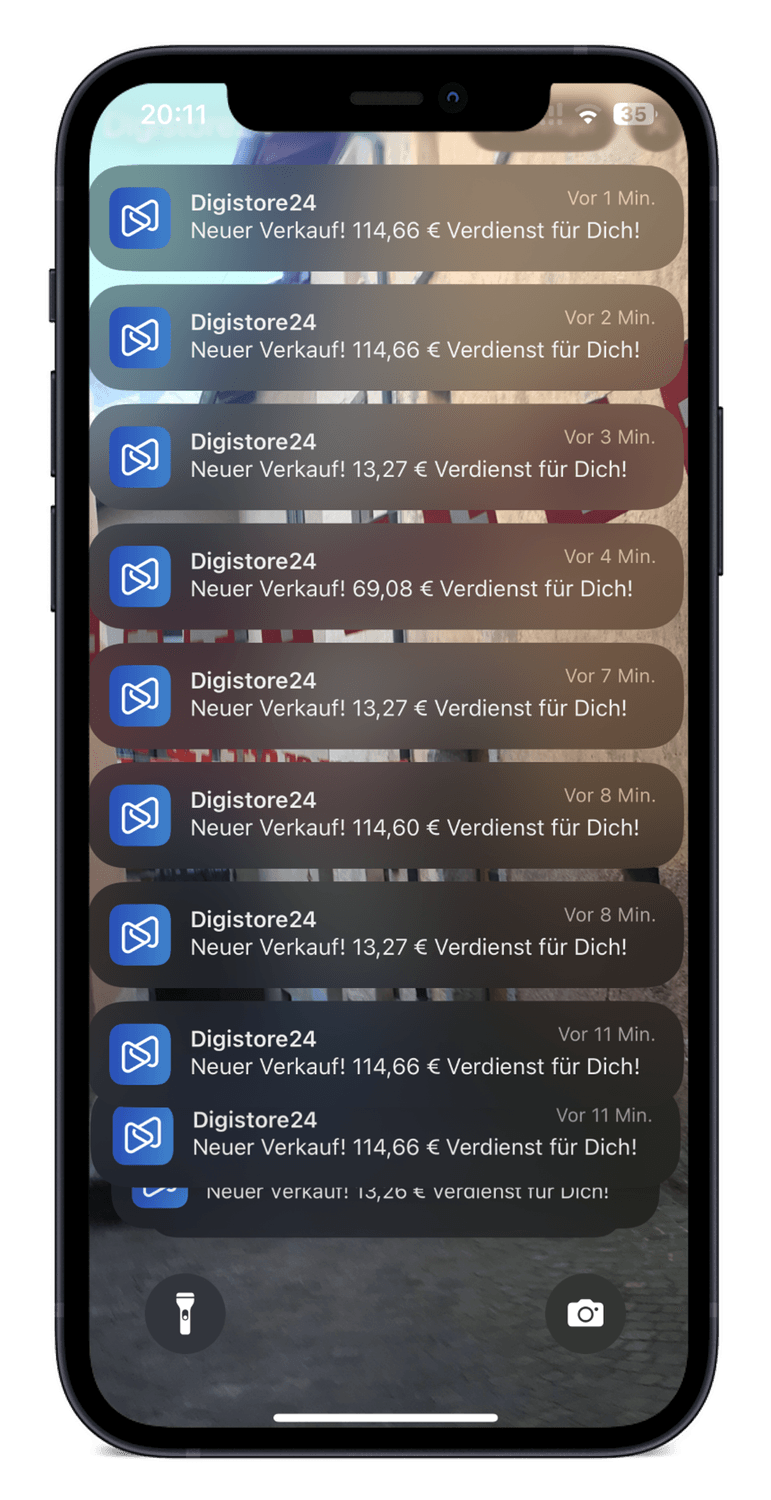 Digistore24 Einnahmen