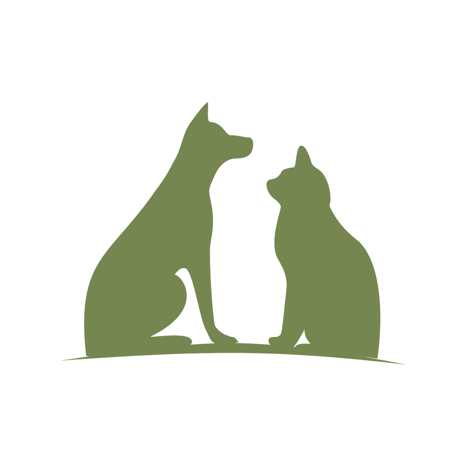 Vétérinaire Elven chat chien