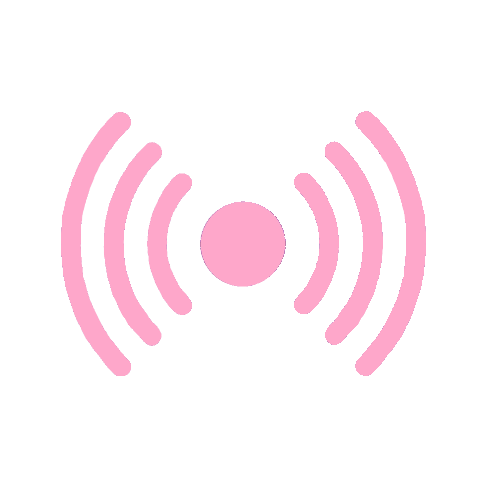 Identification chat chien