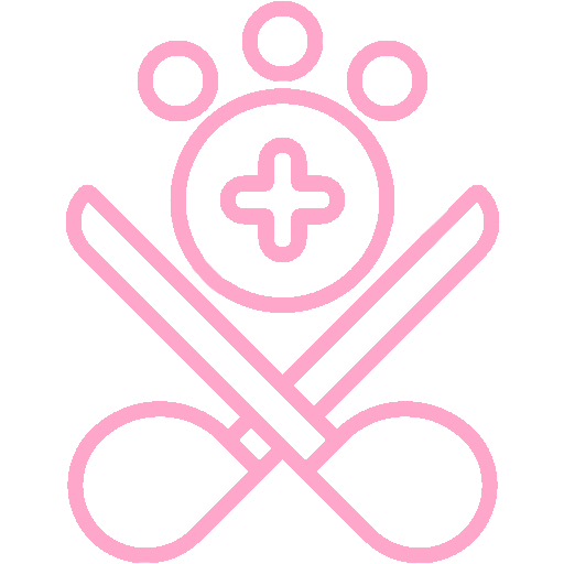 Stérilisation chat chien