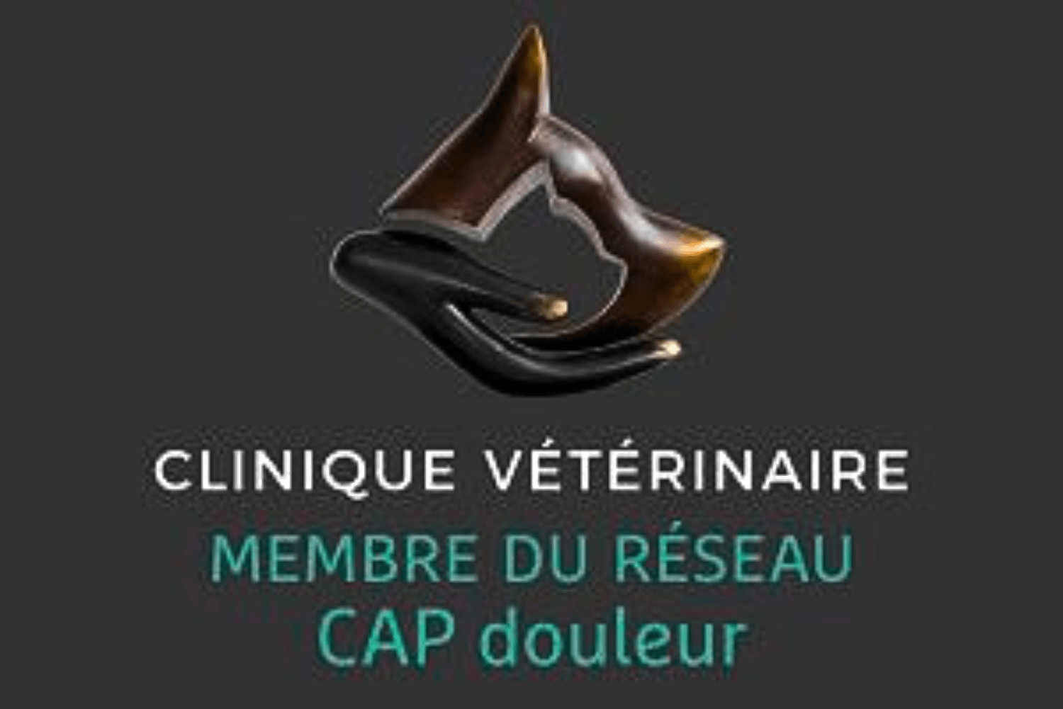 Prévention douleur vétérinaire