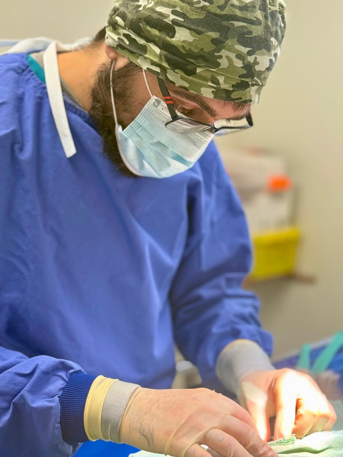 Théo Salles vétérinaire Elven chat chien