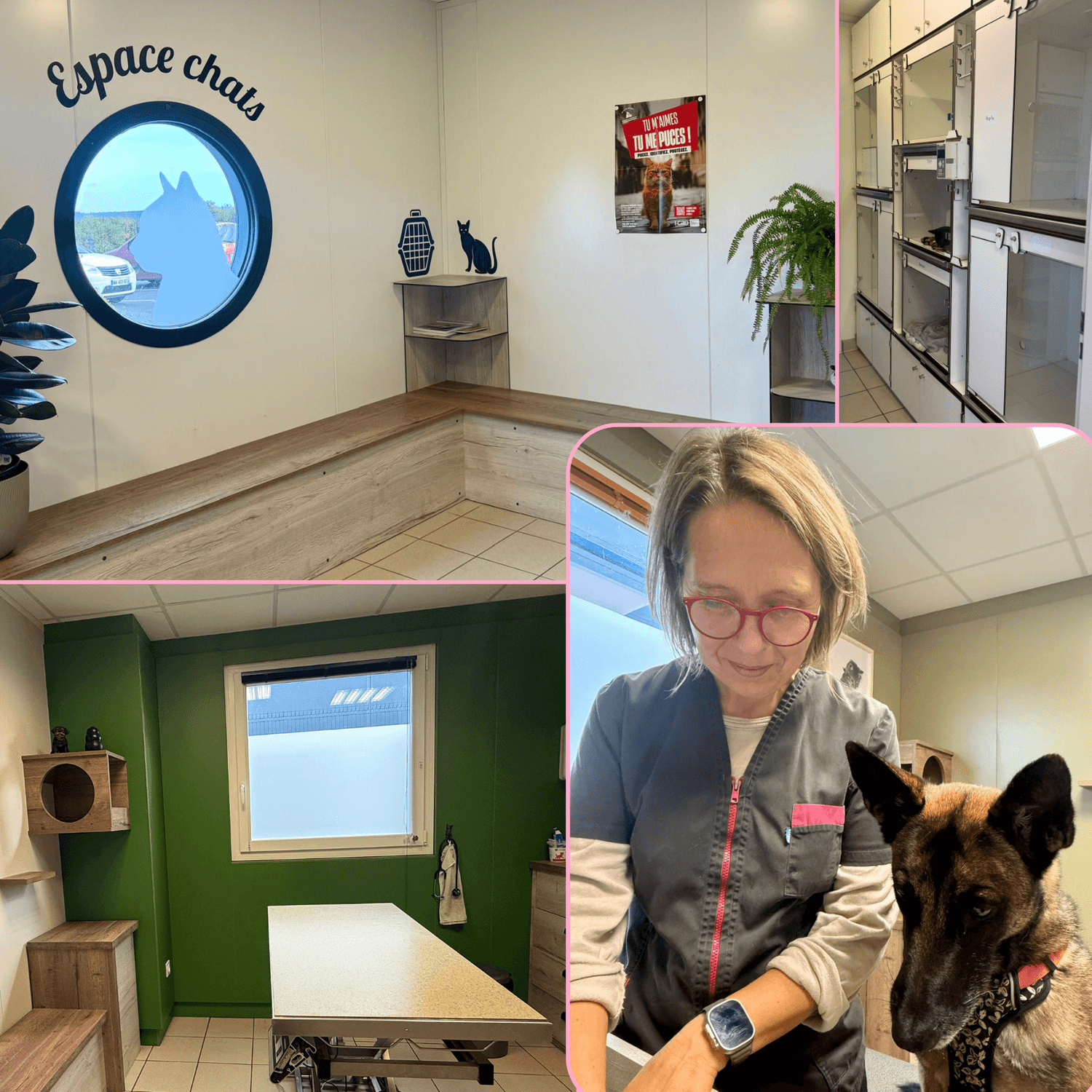 Clinique vétérinaire chat et chien Elven