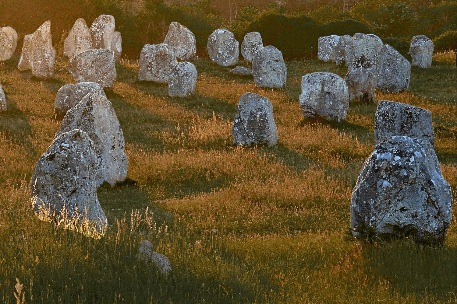 Partenaires indépendants