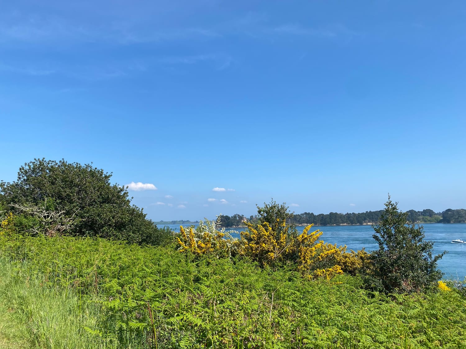 Partenaires indépendants