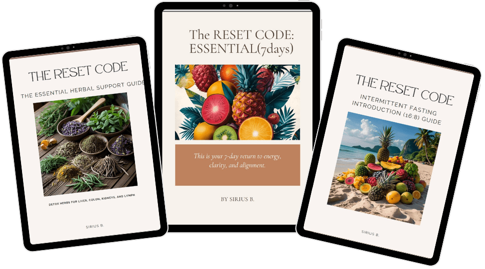 Included eBooks mockup