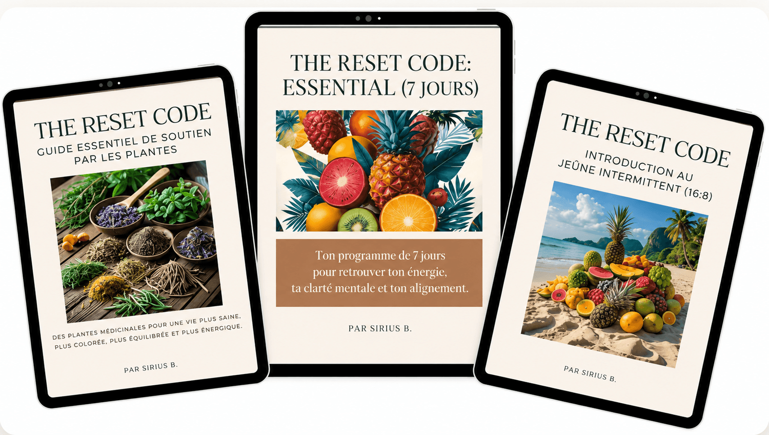 Aperçu des eBooks inclus dans The Reset Code