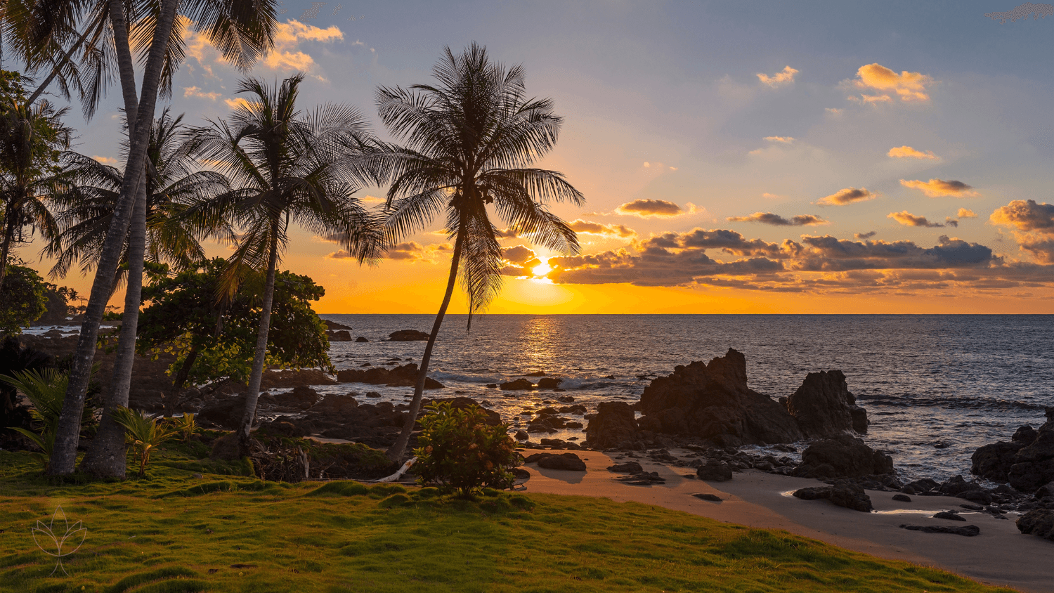 Sunset on a tropical beach in Costa Rica with palm trees and ocean waves.