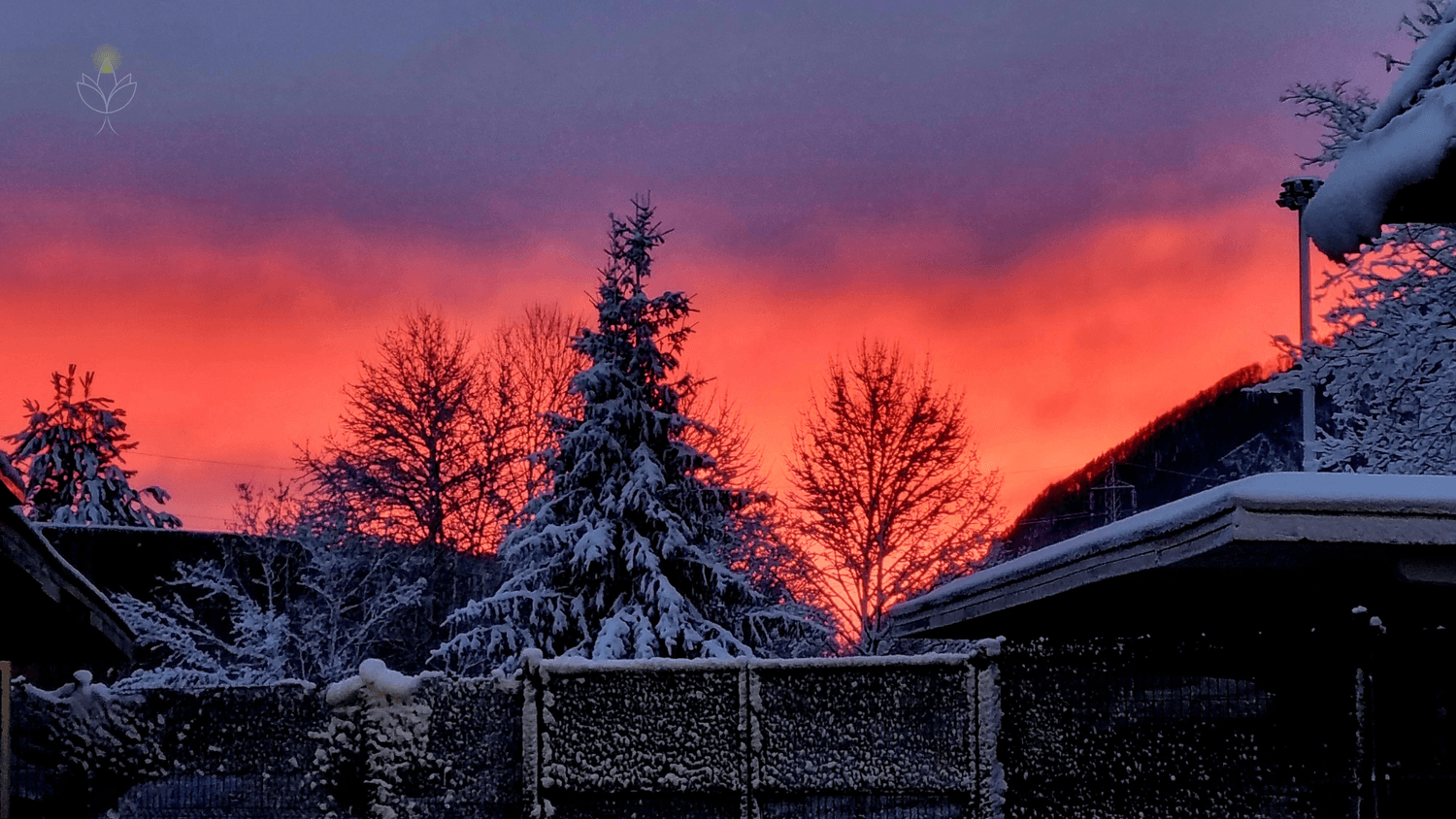 Winter sunset over snowy trees and rooftops in Slovenia, with vibrant orange and purple sky.