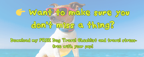 Dog wearing sunglasses with text: Want to make sure you don’t miss a thing? Download my FREE Dog Travel Checklist and travel stress-free with your pup!