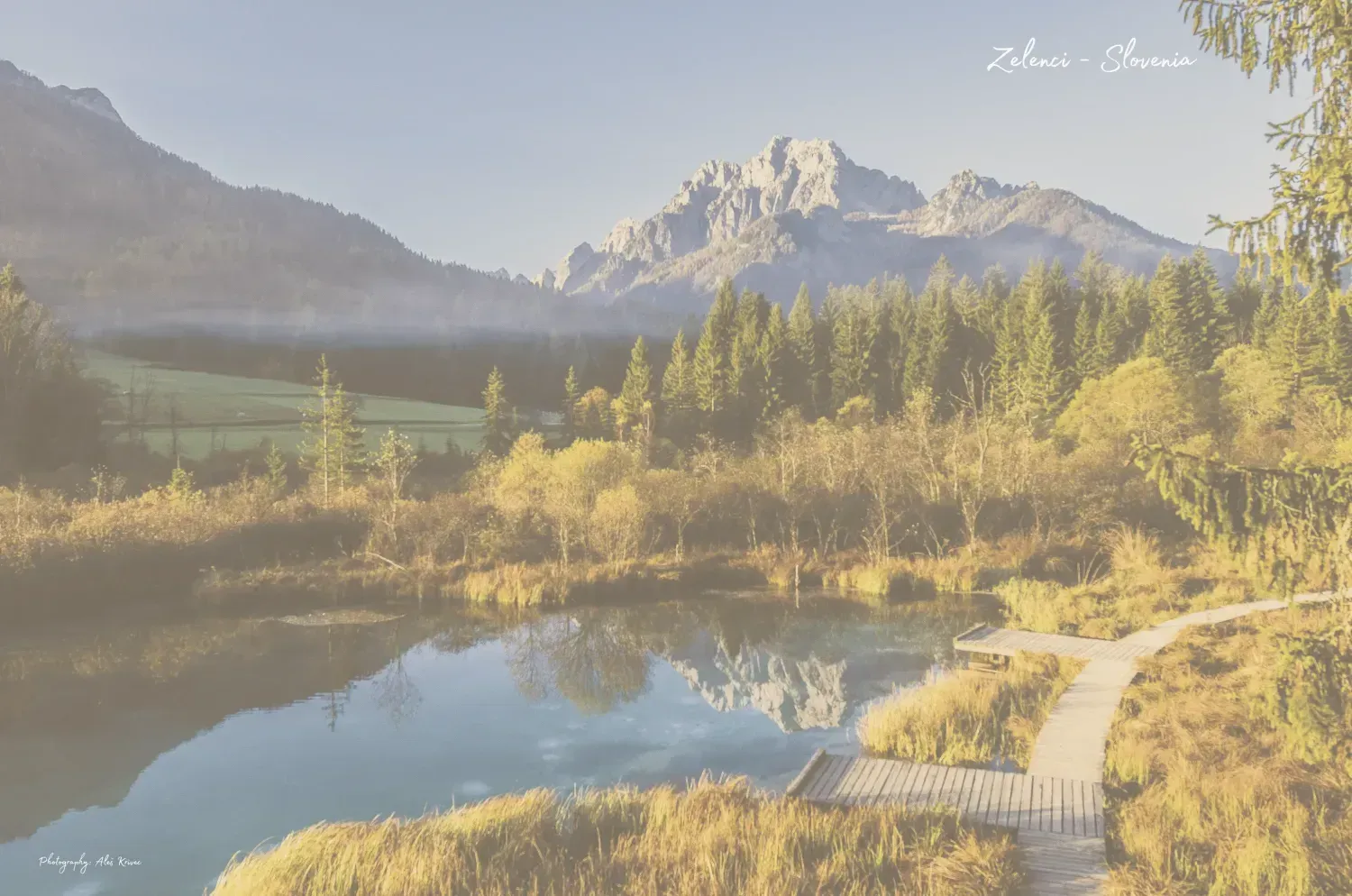 Peaceful sunrise view at Zelenci Nature Reserve in Slovenia, showing wooden boardwalks, crystal-clear water, and the Julian Alps — symbol of balance, inspiration, and freedom for creators worldwide.