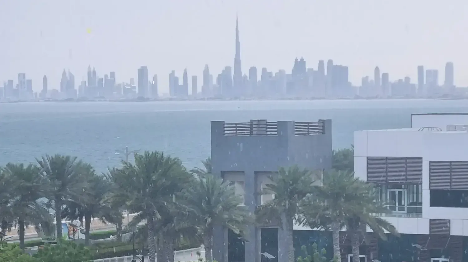 View of Dubai skyline across the sea with palm trees in the foreground — where modern city life meets peaceful coastal nature.
