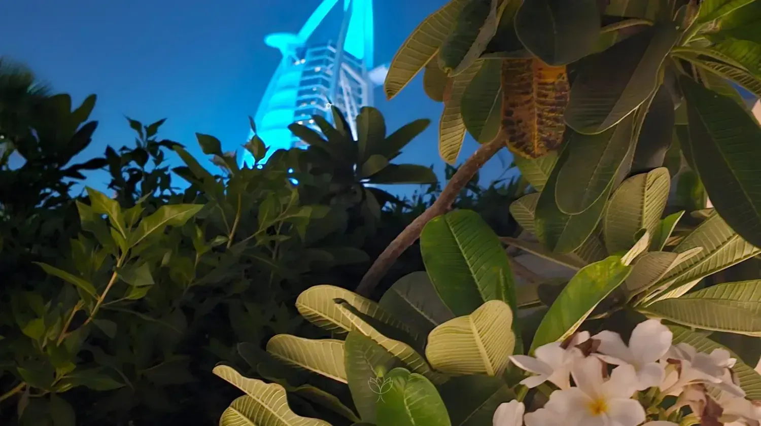 Burj Al Arab illuminated at night behind tropical greenery – representing remote company formation and business opportunities in Dubai.