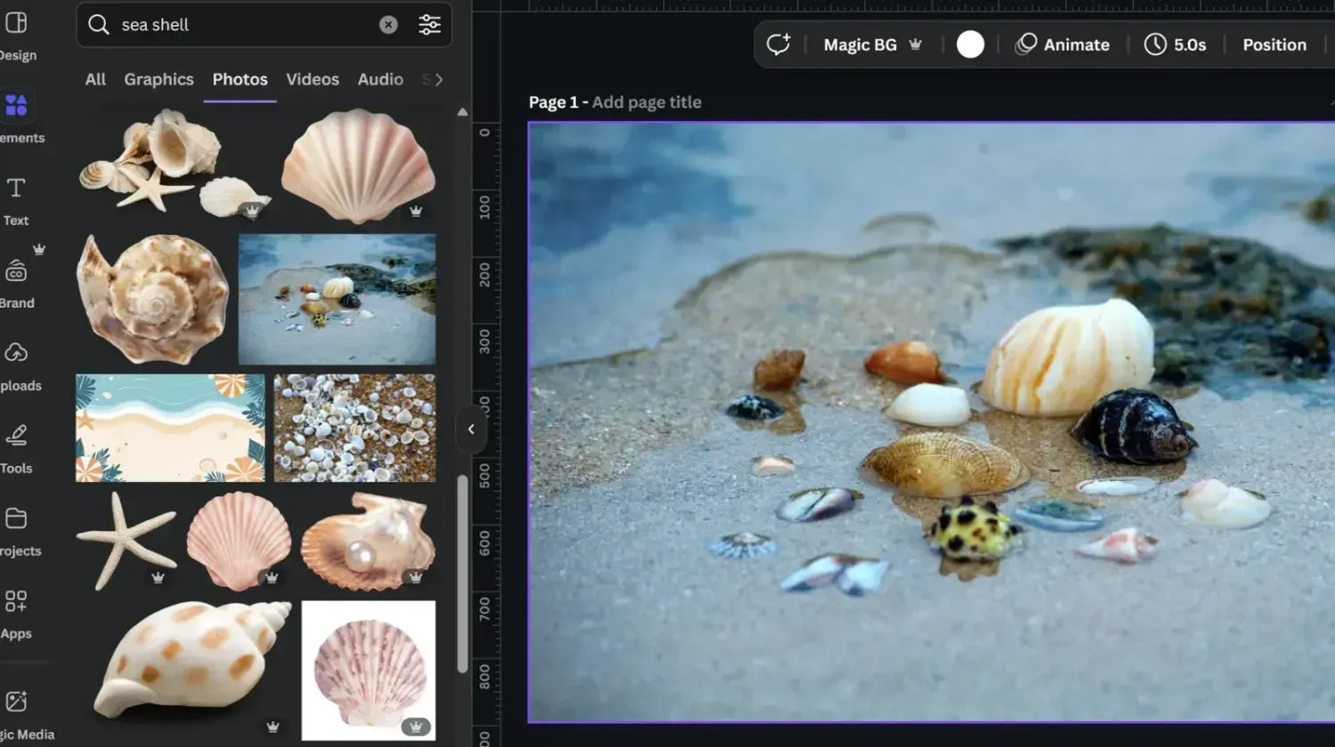 Canva workspace with sea shell graphics — designing creative digital products and aesthetic templates for online shops.