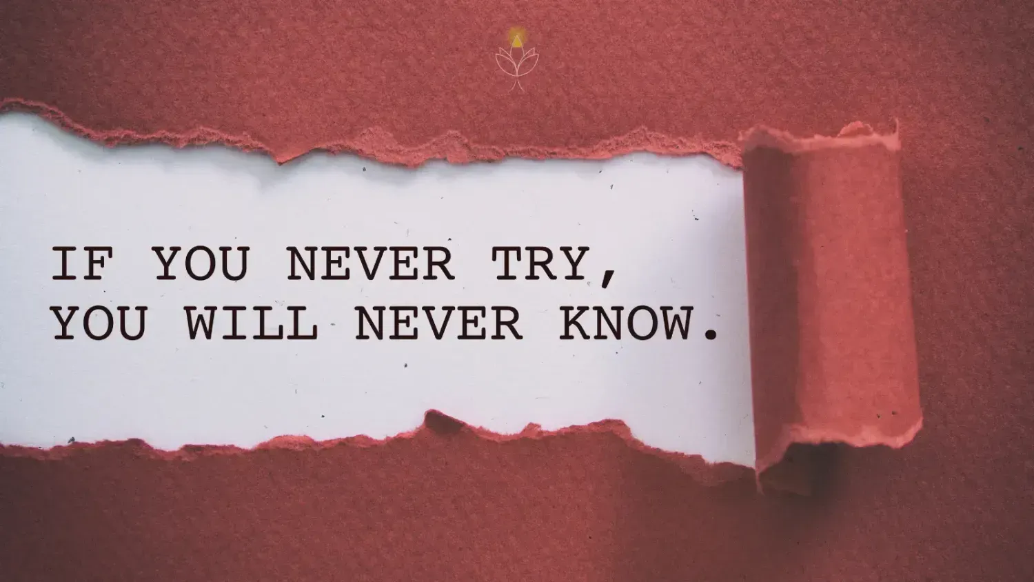 Motivational quote saying ‘If you never try, you will never know’ – reminder to learn from every business step