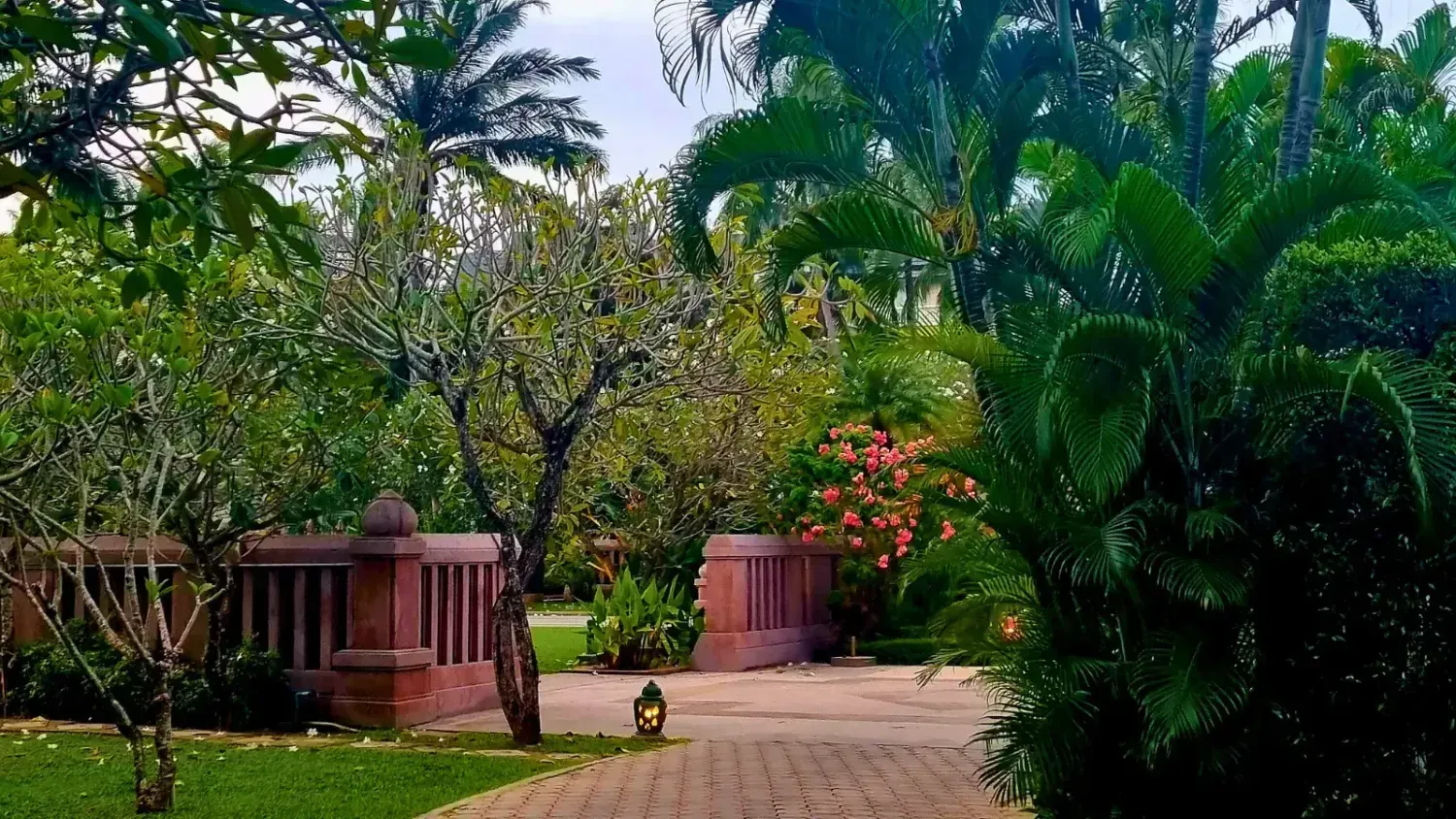 Pathway surrounded by palm trees, frangipani, and flowering tropical plants inside a lush garden in Bang Tao Lagoon, Phuket.