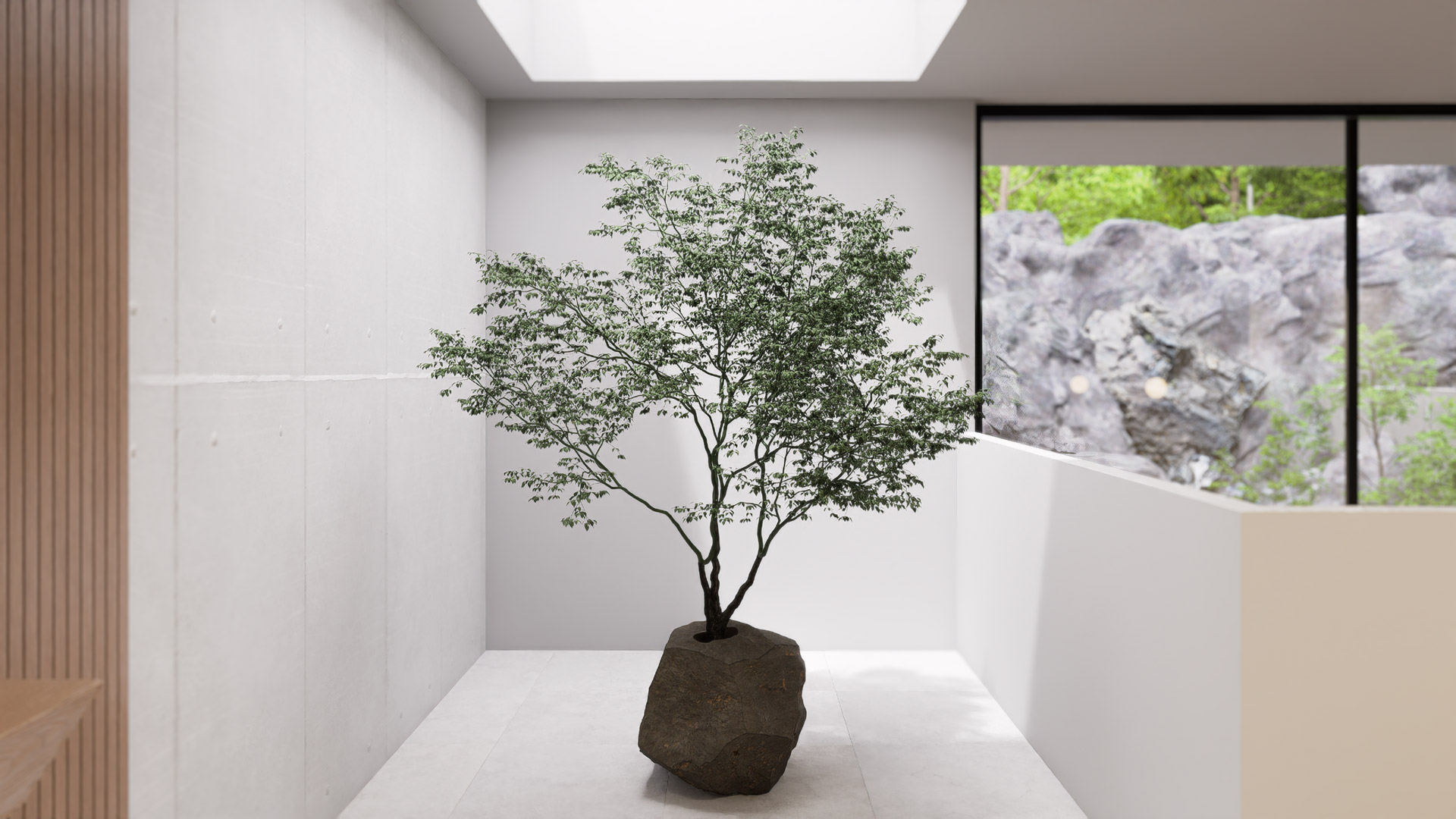 Focus sur la plante de la salle de bain
