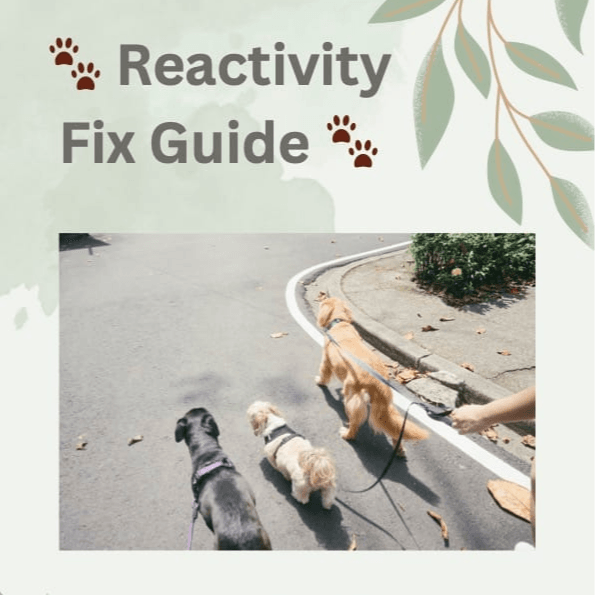 Reactivity Fix Bundle🐾 £57