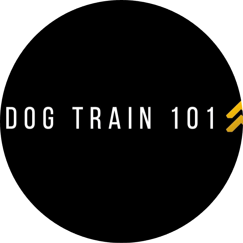 Dog Train 101