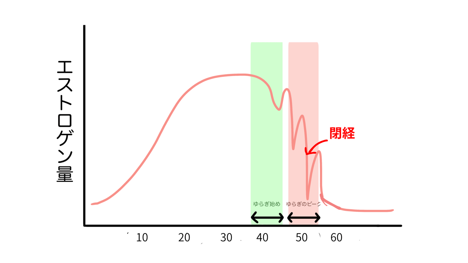 女性ホルモンの変化グラフ