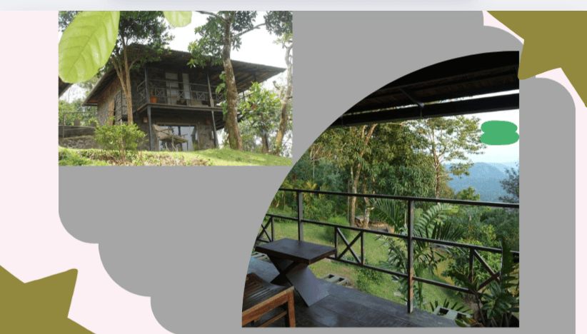 Misty Hogans Stay near Munnar