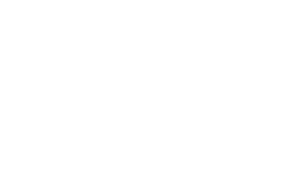 The Architect System