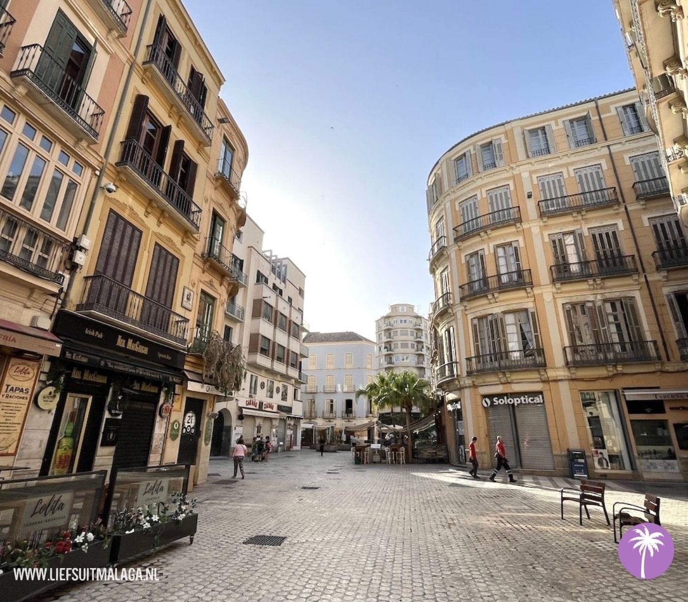 PLaza Carbon Málaga