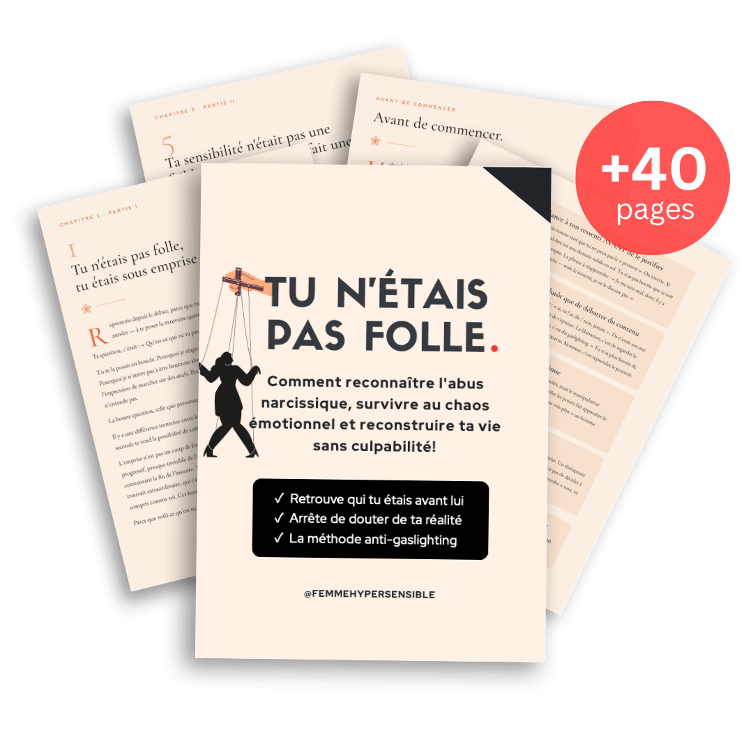 Ebook Tu n'étais pas folle