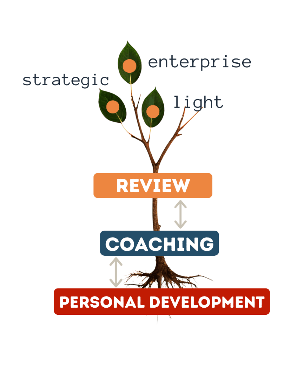 Business concept validation integrated with entrepreneurial coaching