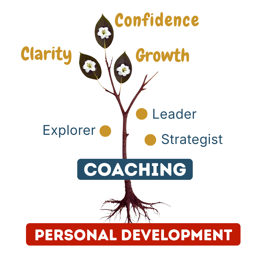 Strategic coaching for established business owners seeking growth