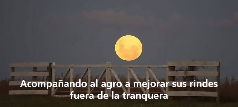 Mejoarr los rindes del campo