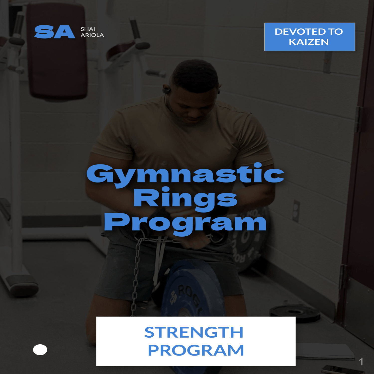 Shai's Gymnastic Rings Program