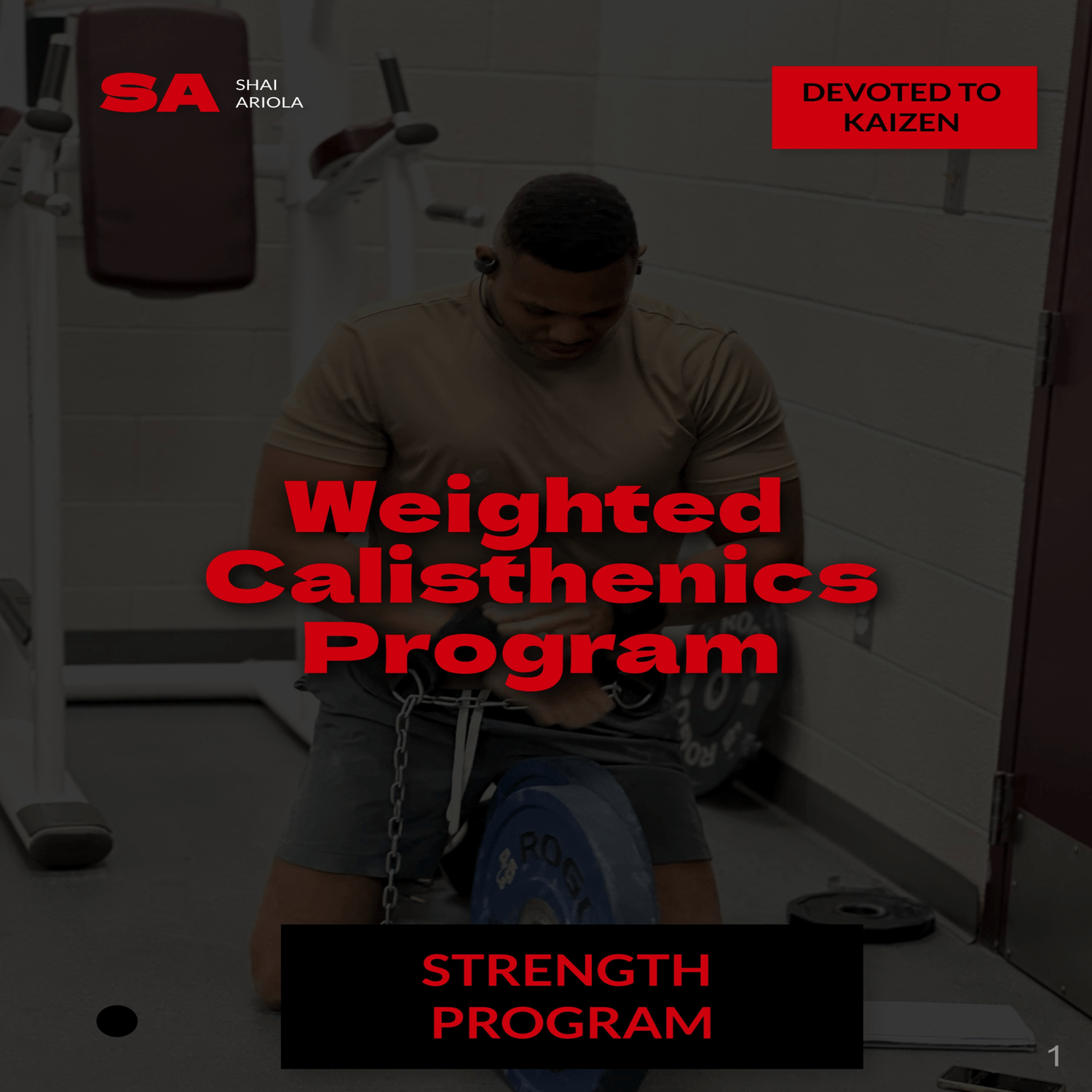Shai's Weighted Calisthenics Program