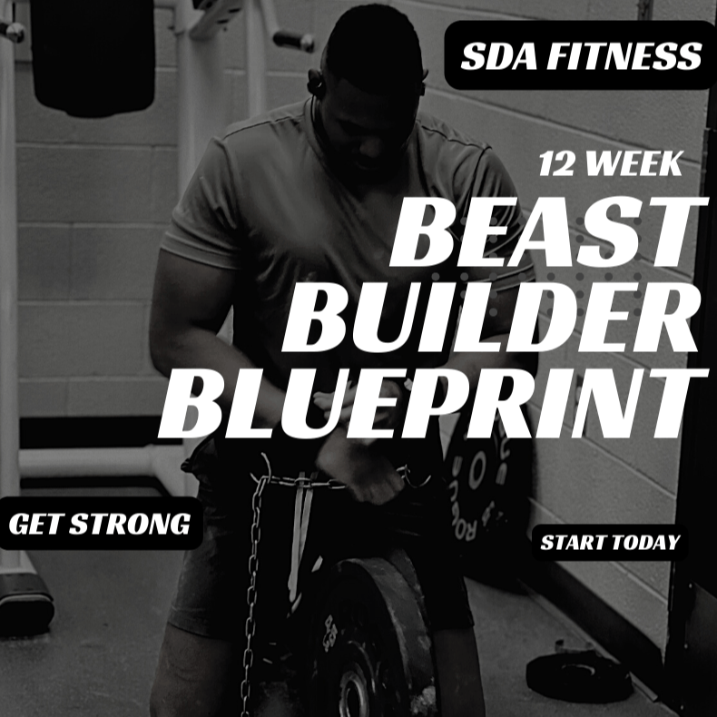 12 Week Beast Builder Weighted Calisthenics Program