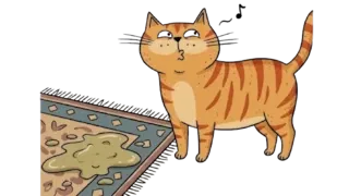 Gato Vomito Alfombra