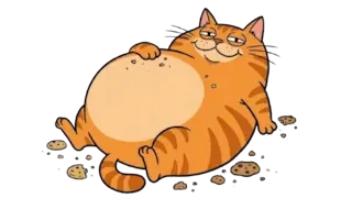 Gato Gordo Sonríe a Cámara