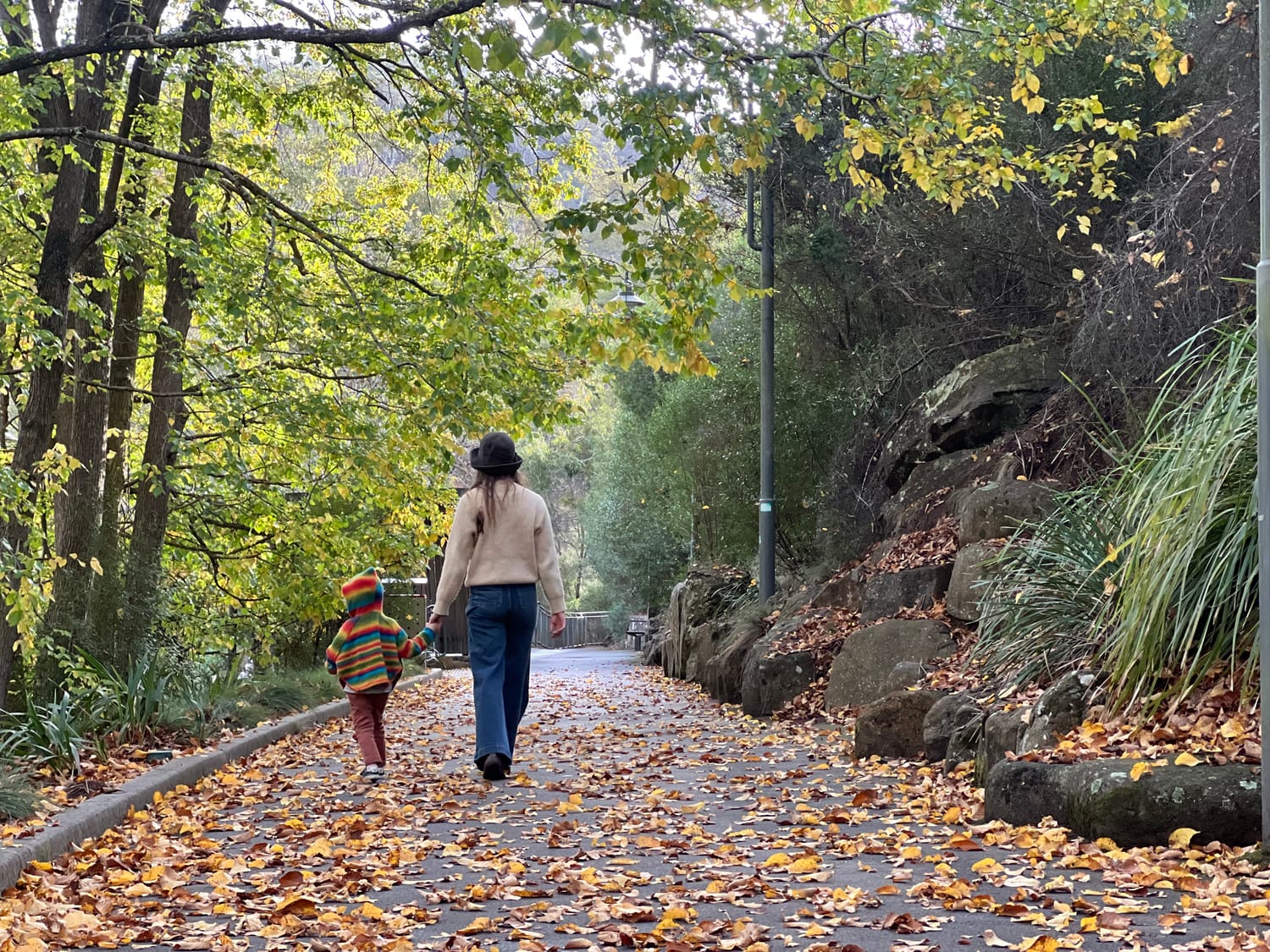 Zoffie and Cedar walking