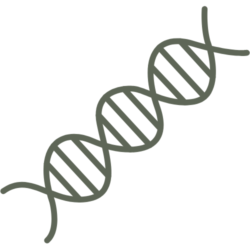 DNA helix icon representing deep-rooted change and neuroplasticity through hypnotherapy