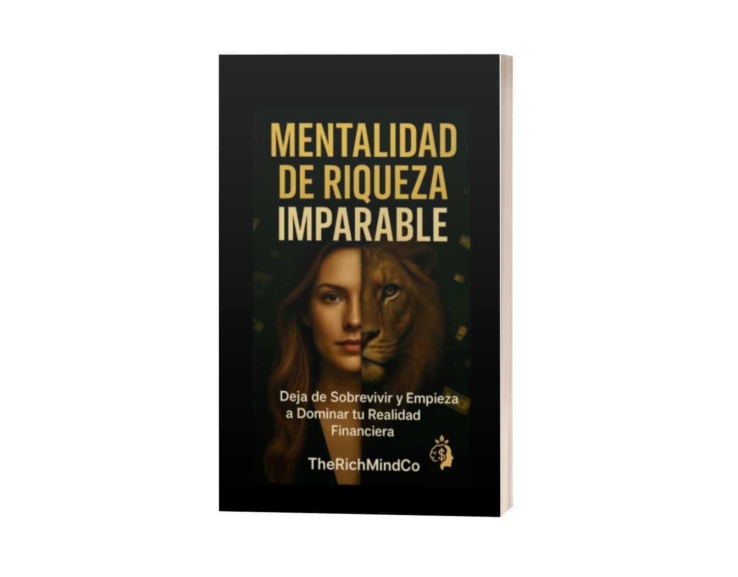 Ebook Mentalidad de Riqueza Imparable