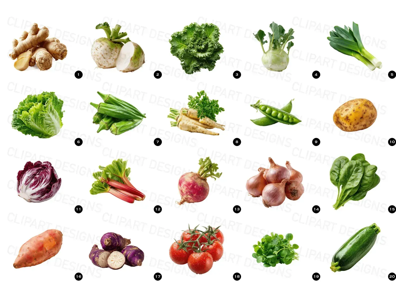 Revitalize your culinary creations with our vibrant veggie clipart, perfect for healthy blogs & fresh recipes. Download now!