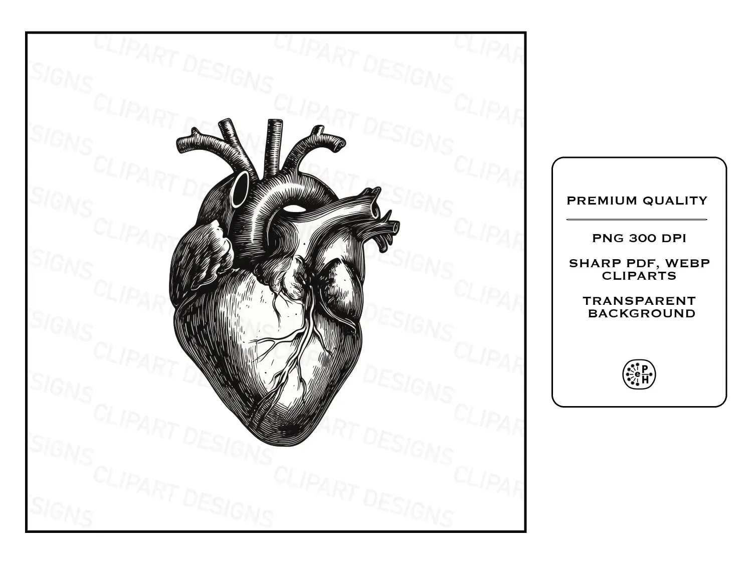 Discover 20 timeless vintage anatomy cliparts with delicate engravings. Perfect for unique art, invites, or educational gems! Explore now!