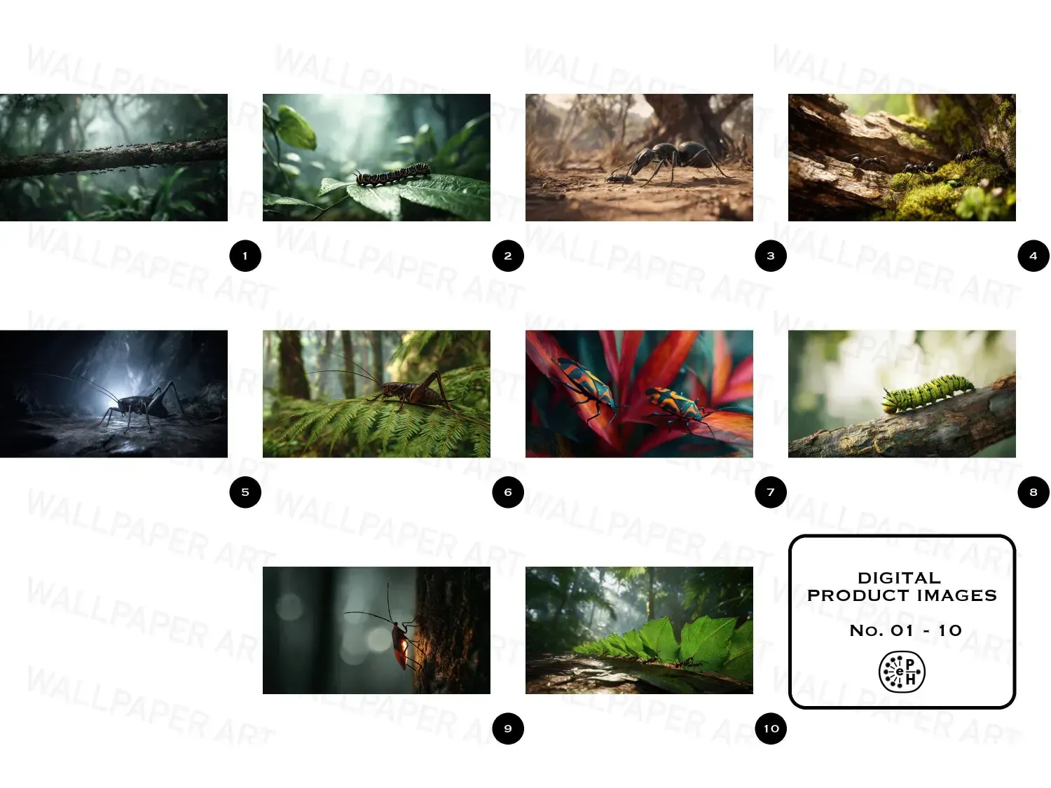 Transform your workspace with these 20 vibrant rainforest desktop wallpapers, immersing you in nature's beauty and tranquility.