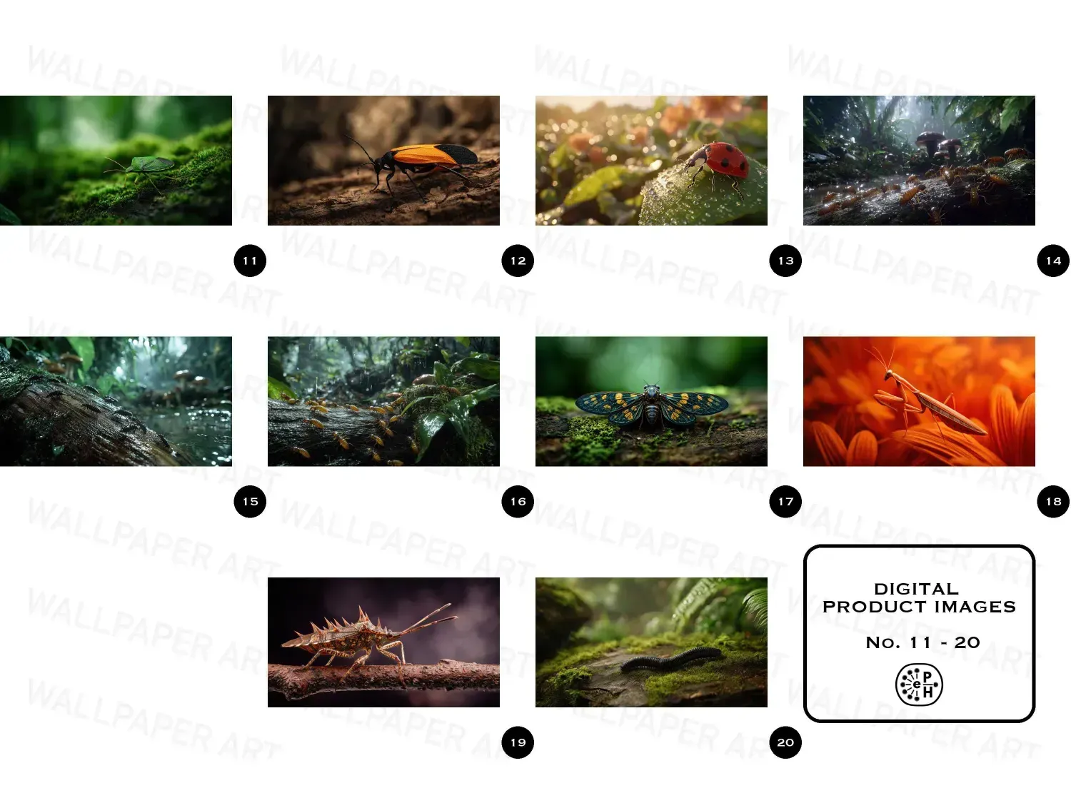 Transform your workspace with these 20 vibrant rainforest desktop wallpapers, immersing you in nature's beauty and tranquility.