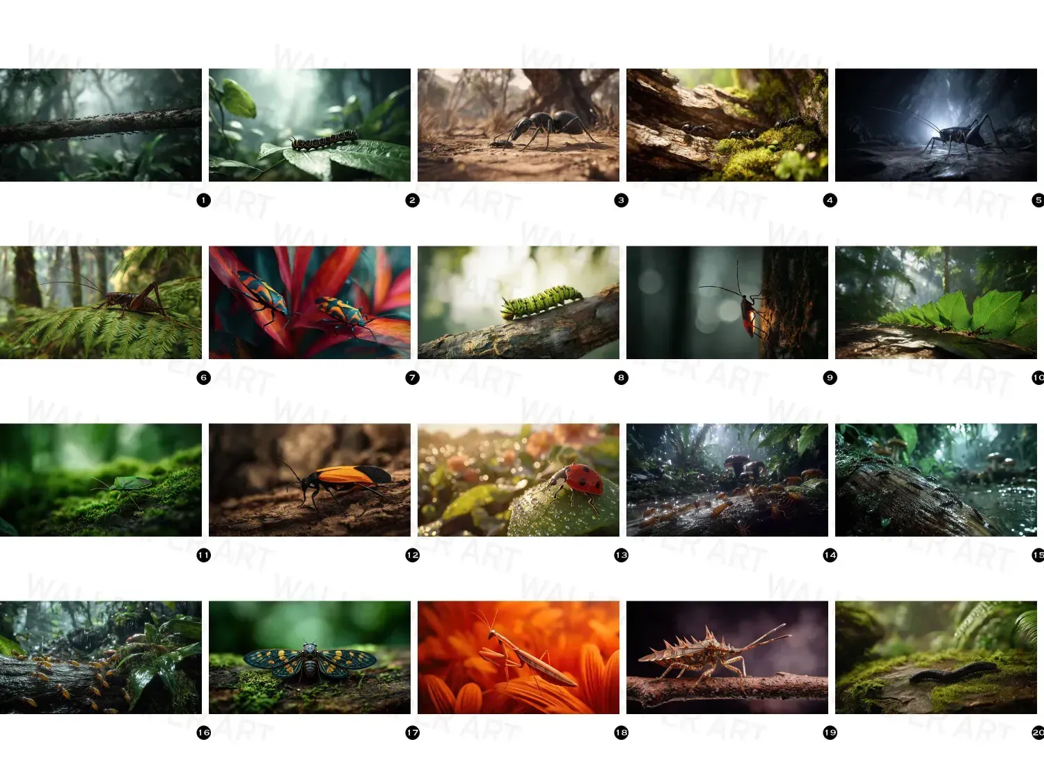 Transform your workspace with these 20 vibrant rainforest desktop wallpapers, immersing you in nature's beauty and tranquility.